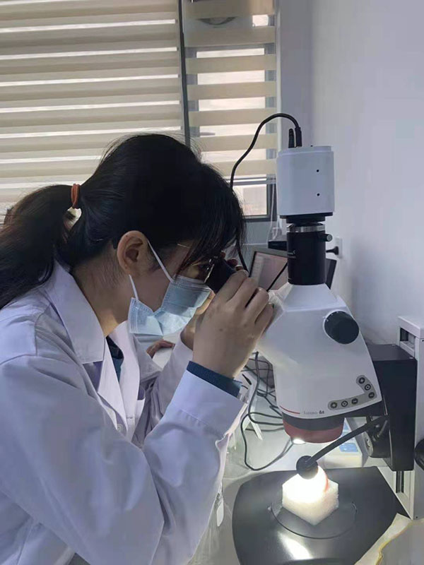 实验室 7-8 有人 的 照片 二 选 一 或者 都 放 , 看 排版 情况 实验室 7-8 有人 的 照片 二 选 一 或者 都 放 , 看 排版 情况